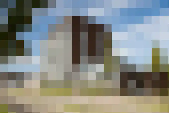 Pothoofd 339 Deventer thumbnail 53