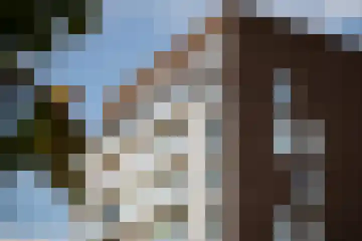 Pothoofd 339 Deventer thumbnail 55