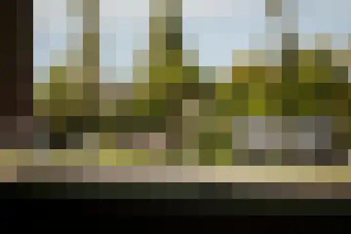 Pothoofd 339 Deventer thumbnail 59