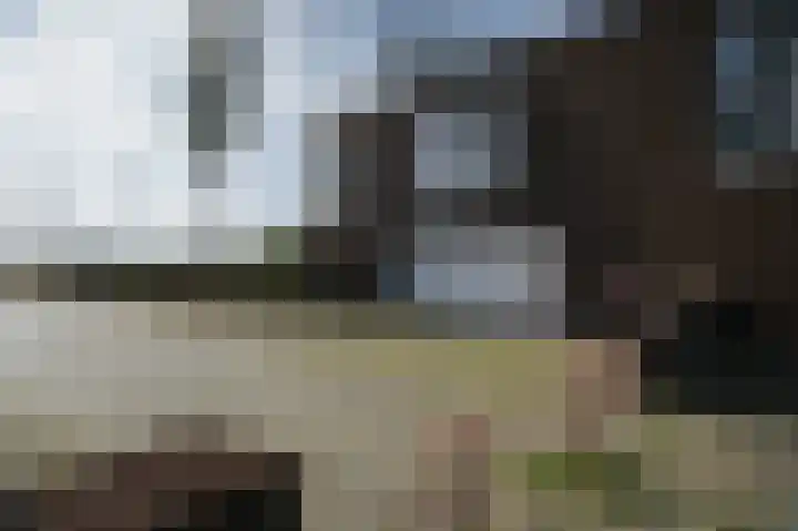 Pothoofd 339 Deventer thumbnail 60