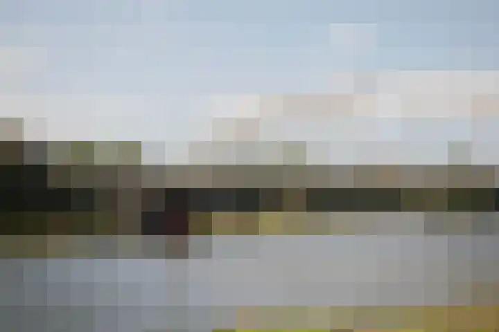 Pothoofd 339 Deventer thumbnail 61