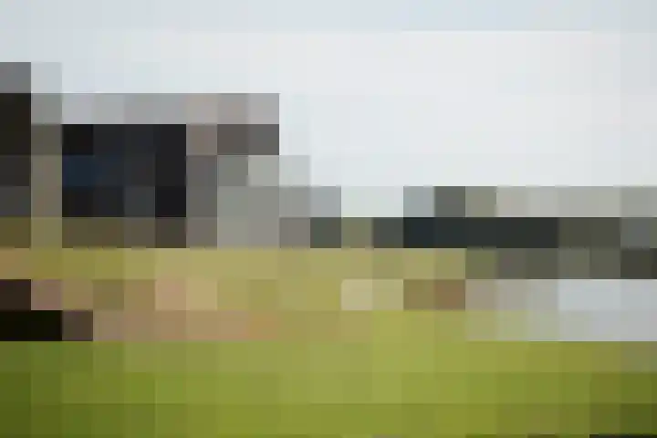 Pothoofd 339 Deventer thumbnail 63