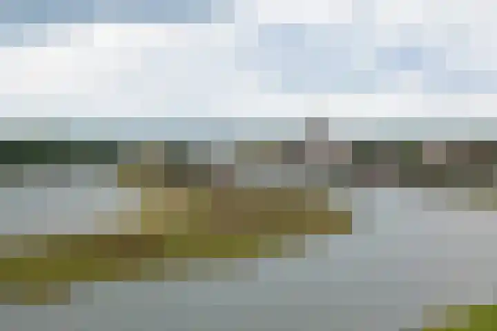 Pothoofd 339 Deventer thumbnail 7