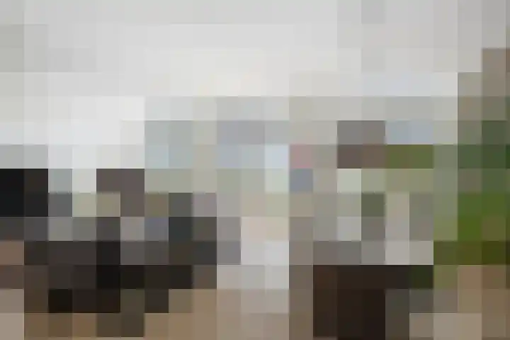 Pothoofd 339 Deventer thumbnail 8