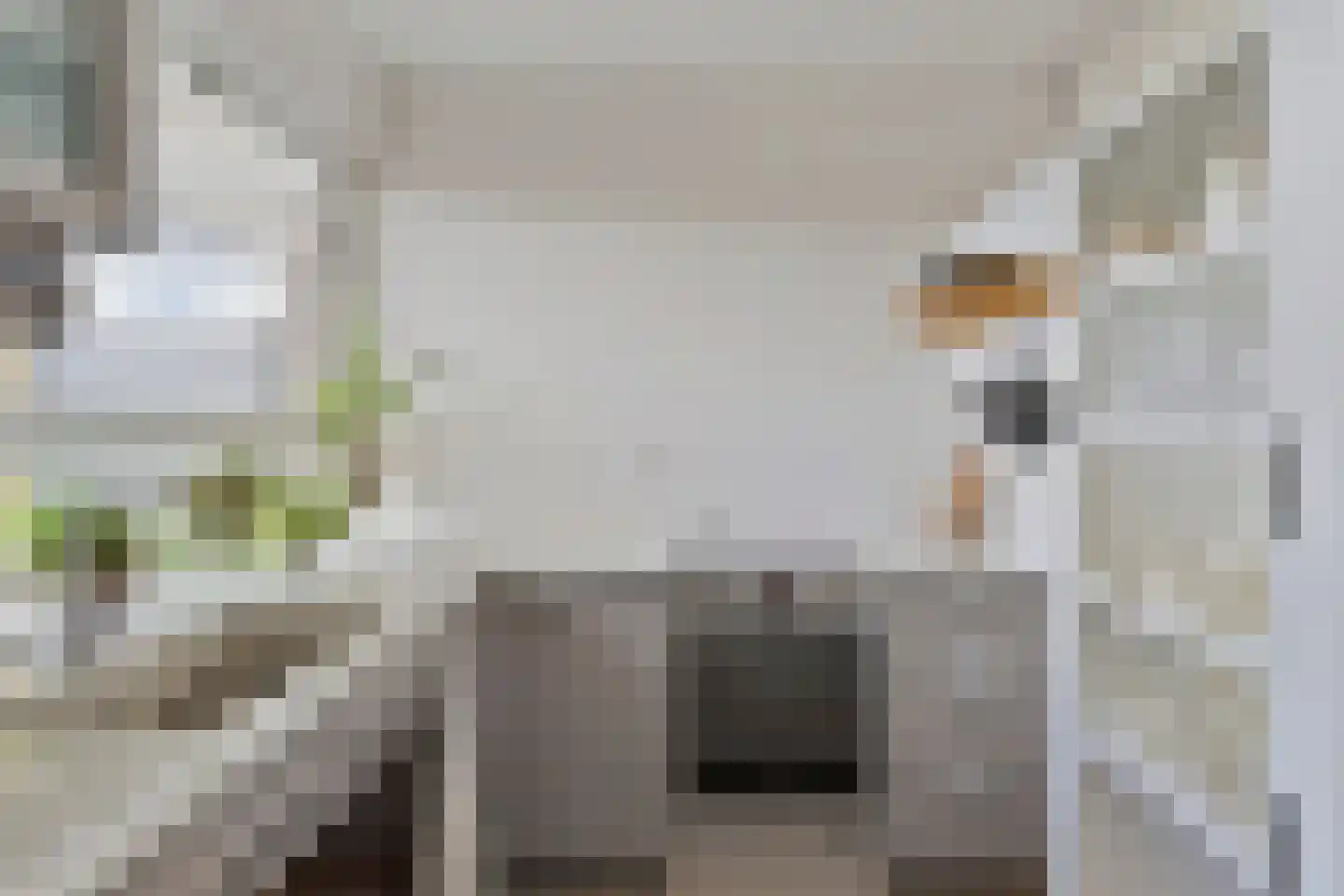 Pothoofd 35 Deventer thumbnail 18