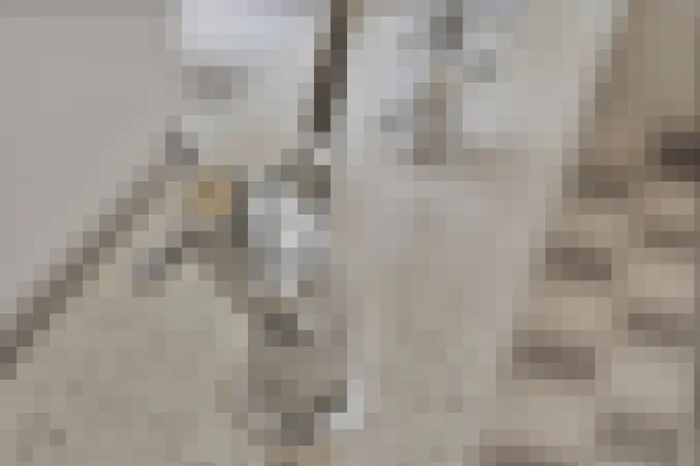Pothoofd 35 Deventer thumbnail 22