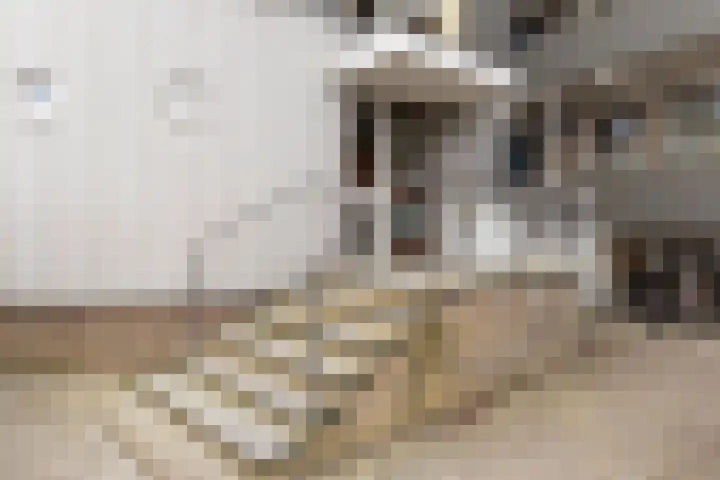 Pothoofd 35 Deventer thumbnail 6