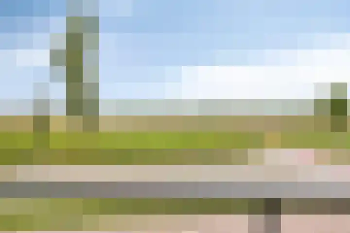 Pothoofd 353 Deventer thumbnail 11