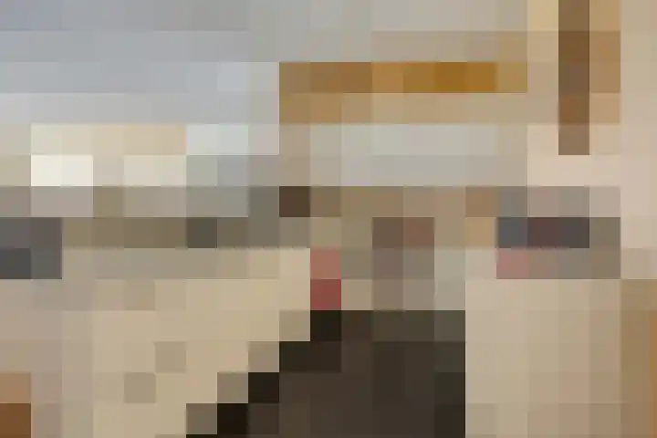 Pothoofd 353 Deventer thumbnail 15