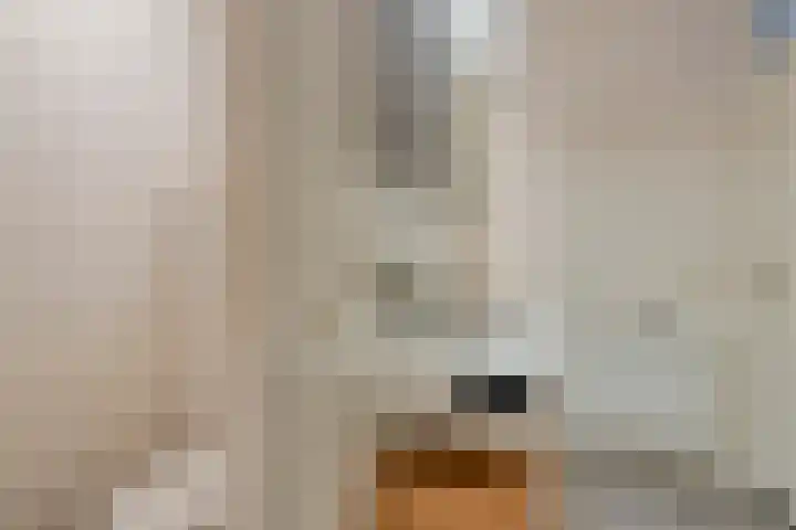 Pothoofd 353 Deventer thumbnail 25