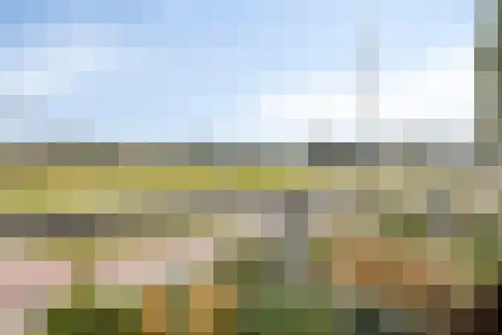 Pothoofd 353 Deventer thumbnail 28