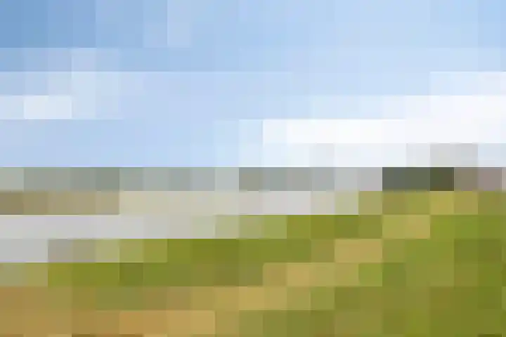 Pothoofd 353 Deventer thumbnail 33