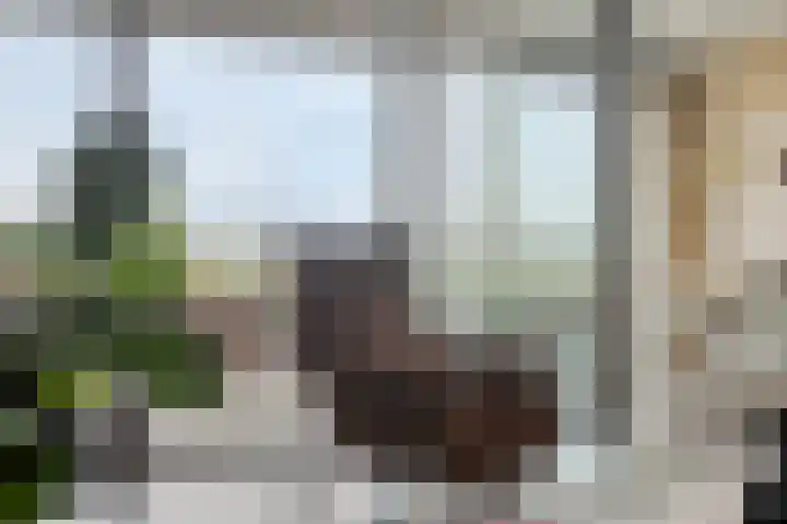 Pothoofd 353 Deventer thumbnail 6
