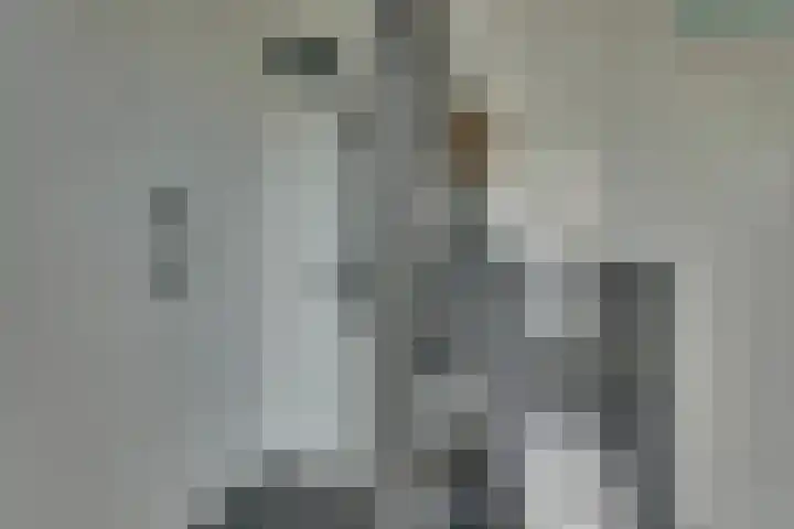Pothoofd 359 Deventer thumbnail 32