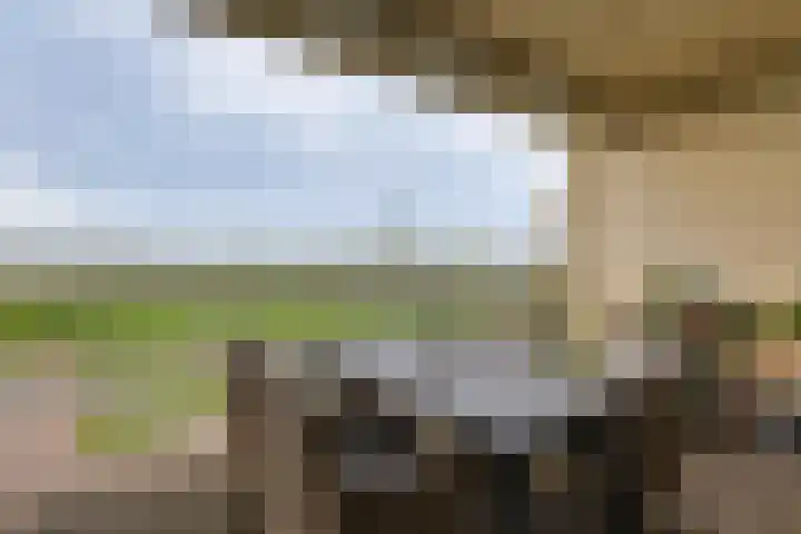 Pothoofd 359 Deventer thumbnail 35