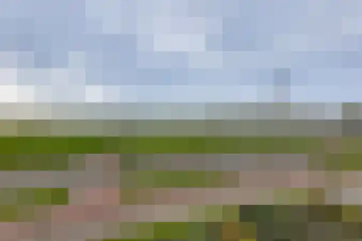 Pothoofd 359 Deventer thumbnail 36