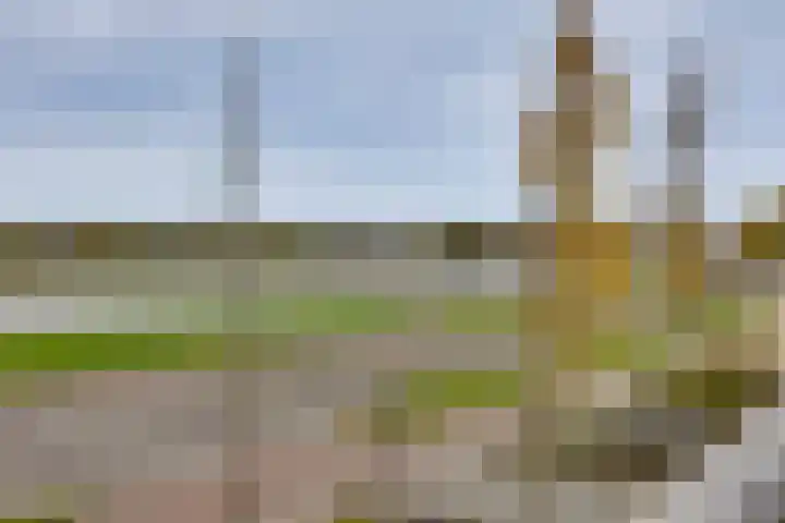 Pothoofd 359 Deventer thumbnail 37
