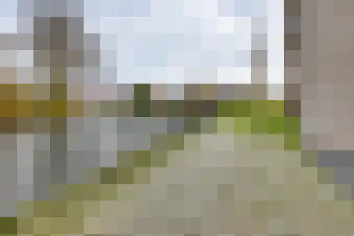 Pothoofd 359 Deventer thumbnail 39