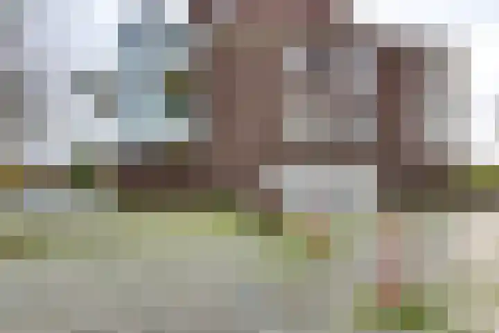 Pothoofd 359 Deventer thumbnail 41