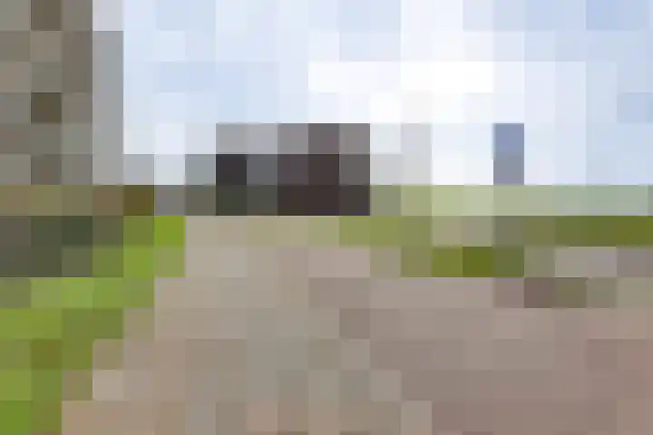 Pothoofd 359 Deventer thumbnail 45