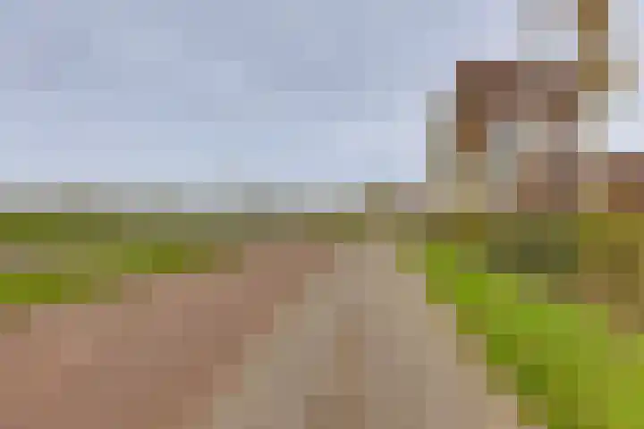 Pothoofd 359 Deventer thumbnail 46