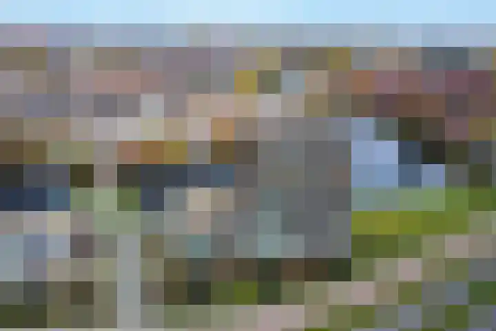 Pothoofd 359 Deventer thumbnail 9