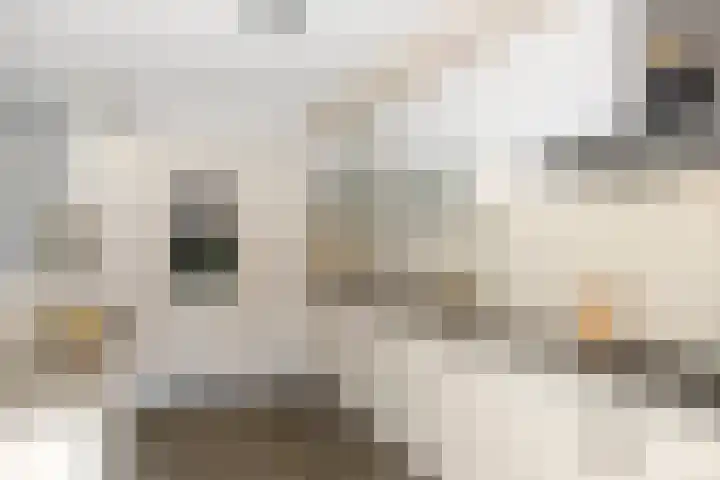 Pothoofd 50 Deventer thumbnail 11