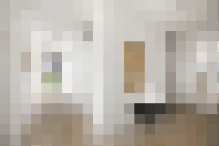 Pothoofd 50 Deventer thumbnail 13