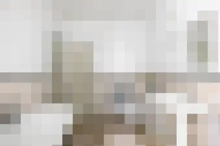 Pothoofd 50 Deventer thumbnail 17