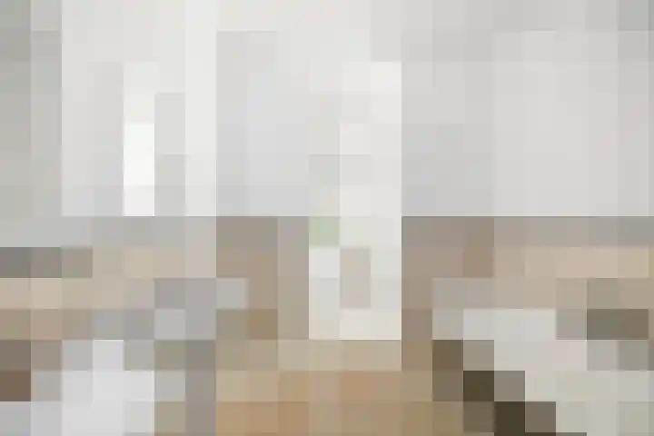 Pothoofd 50 Deventer thumbnail 18