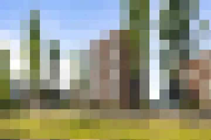 Pothoofd 50 Deventer thumbnail 22
