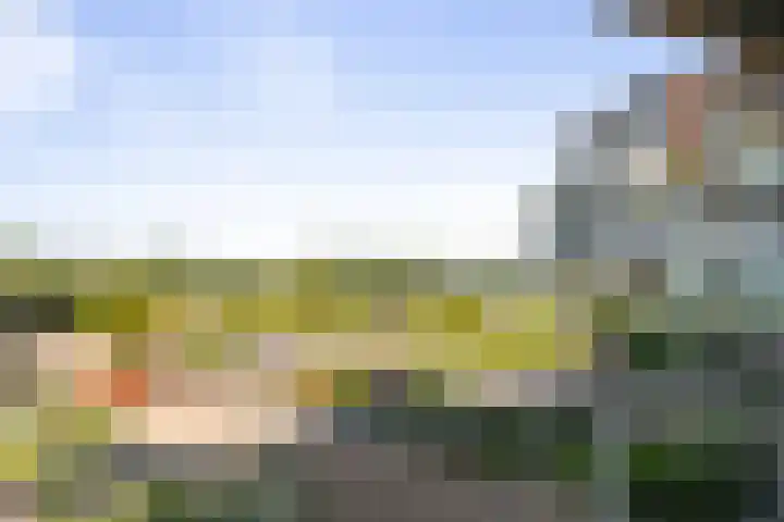 Pothoofd 50 Deventer thumbnail 6