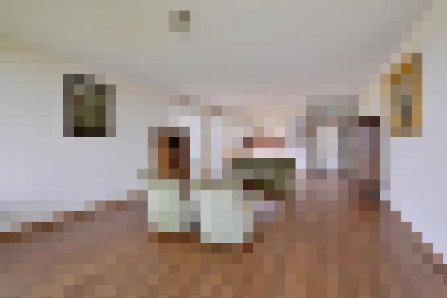 Pothoofd 86 Deventer thumbnail 11