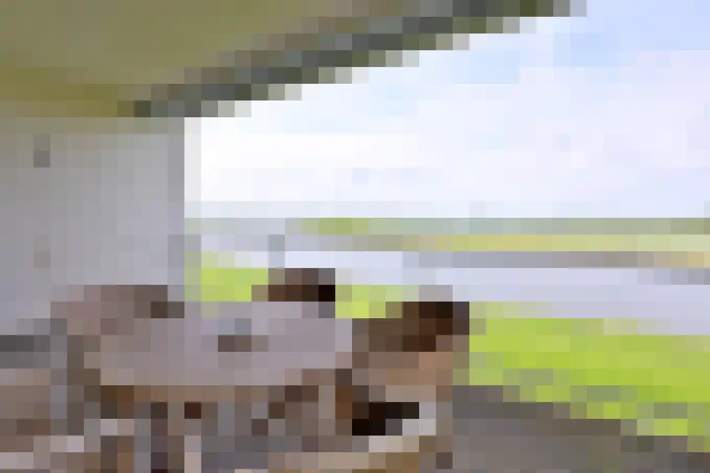 Pothoofd 86 Deventer thumbnail 13