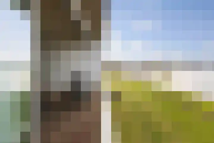 Pothoofd 96 Deventer thumbnail 32