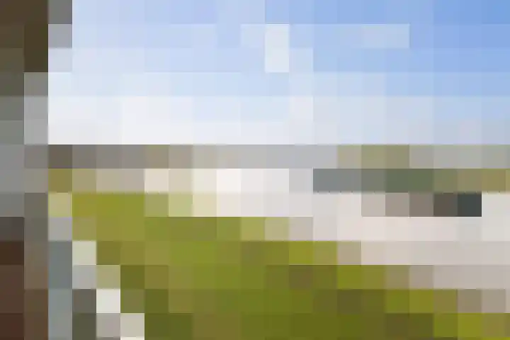 Pothoofd 96 Deventer thumbnail 33