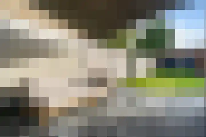 Pothovenlaan 18 Otterlo thumbnail 45