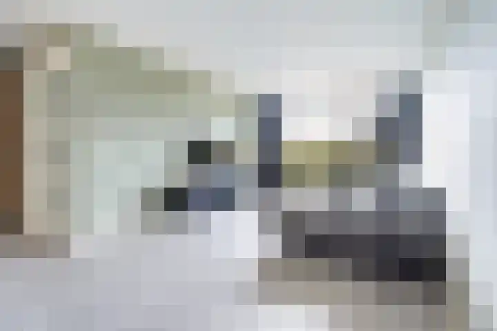 Pothovenlaan 18 Otterlo thumbnail 5
