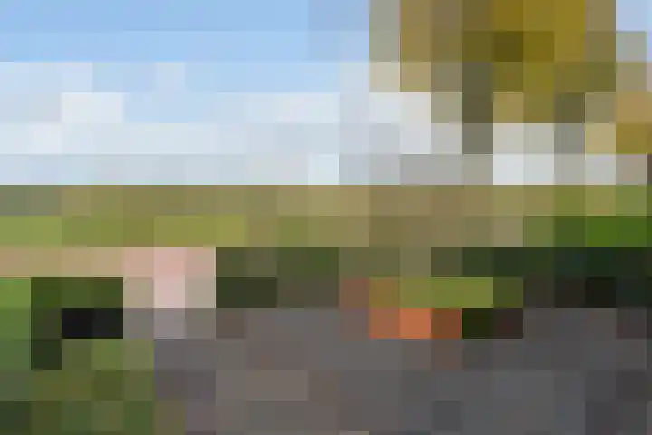Pothovenlaan 18 Otterlo thumbnail 51