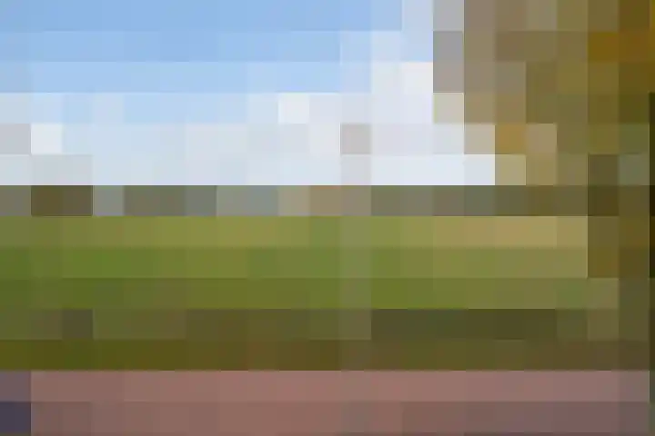 Pothovenlaan 18 Otterlo thumbnail 52