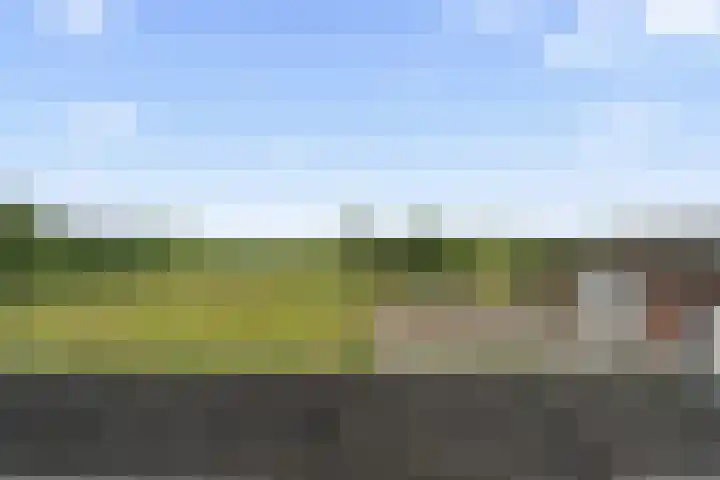 Pothuizerweg 29 Schalkwijk thumbnail 27