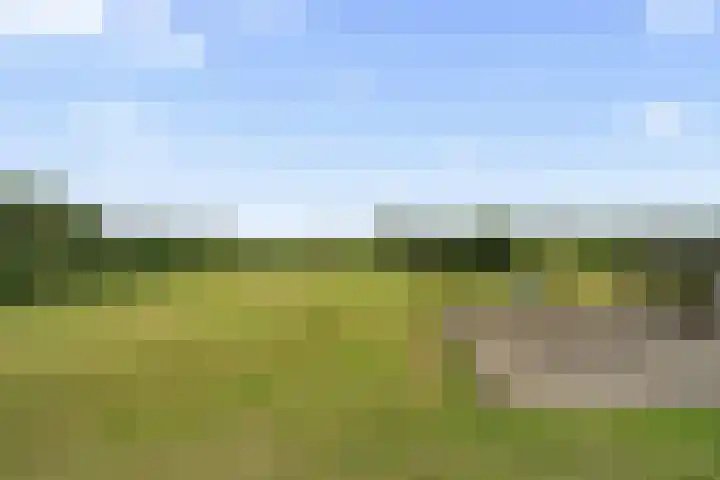 Pothuizerweg 29 Schalkwijk thumbnail 28