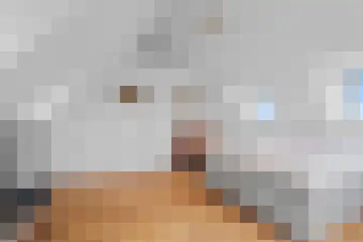 Pothuizerweg 29 Schalkwijk thumbnail 30