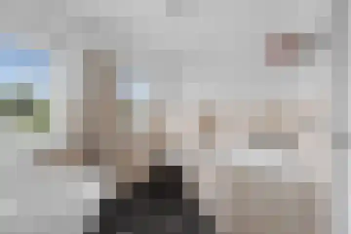 Pothuizerweg 29 Schalkwijk thumbnail 34
