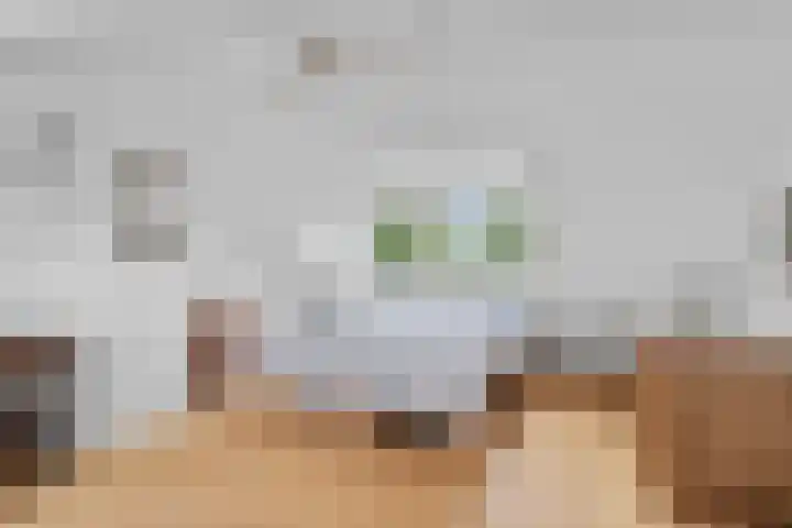 Pothuizerweg 29 Schalkwijk thumbnail 37