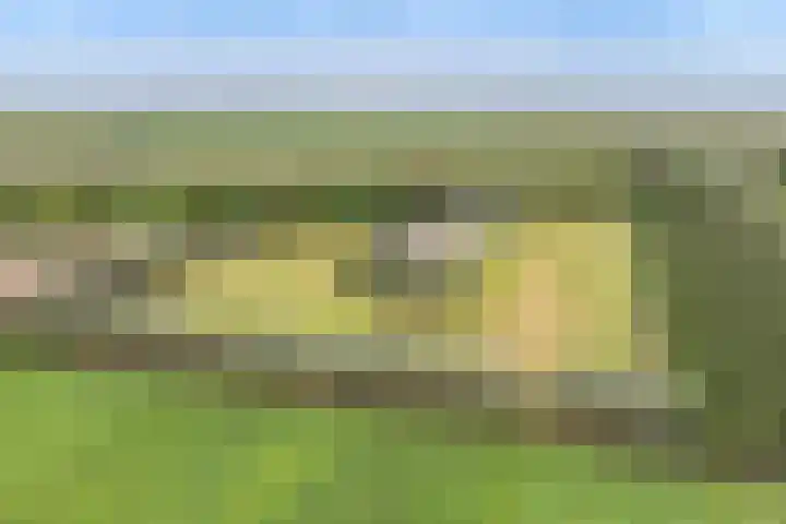 Pothuizerweg 29 Schalkwijk thumbnail 4