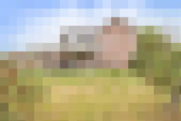 Pothuizerweg 29 Schalkwijk thumbnail 45