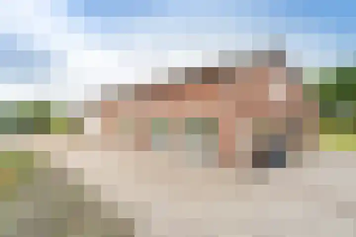 Pothuizerweg 29 Schalkwijk thumbnail 48