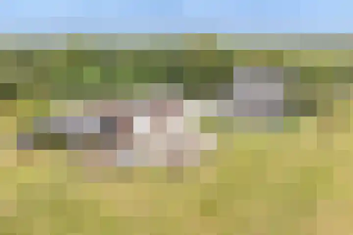 Pothuizerweg 29 Schalkwijk thumbnail 5