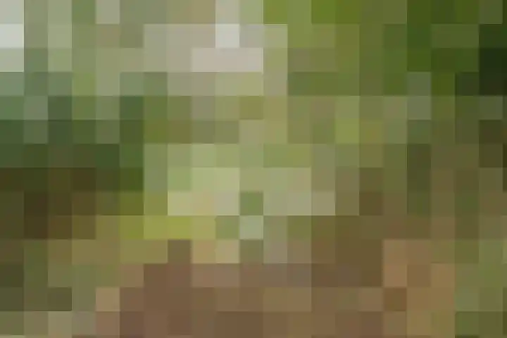 Pothuizerweg 29 Schalkwijk thumbnail 51